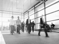 PR-1027138P-BLK-Blackrock-Digital-800×600[1] alternate text for this image