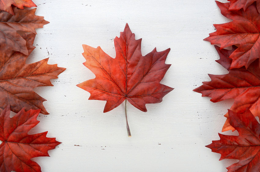 RBC predicts healthier growth for Canada this year