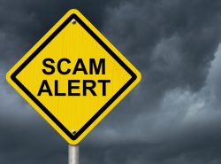 New Brunswick regulator reports increase in suspected fraud