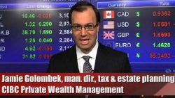 Golombek describes IFIC’s budget 2010 wish list