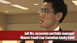 Small cap manager on Home Capital, Constellation, Stantec
