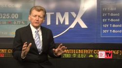 Why specializing in life insurance makes sense