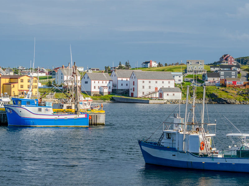 Bona Vista, Newfoundland fishing village. Boats