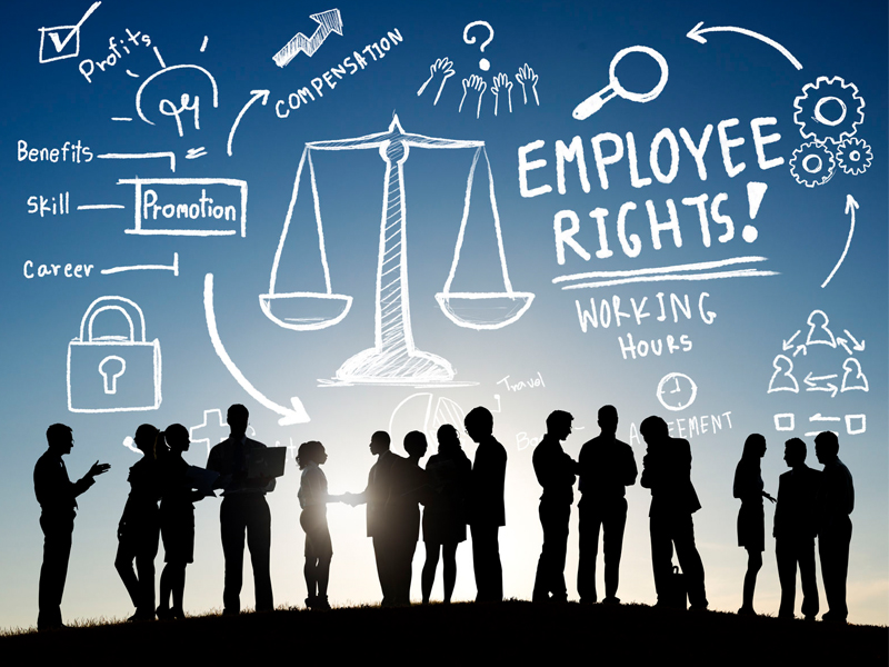 Employee Rights Employment Equality Job Business Communication Concept