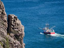 Fishing boat from St John's harbour Newfoundland