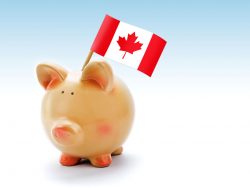 Piggy bank with national flag of Canada