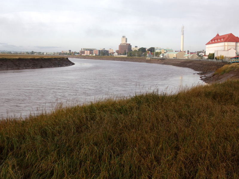 Petitcodiac River with Moncton, New Brunswick, Canada in the background