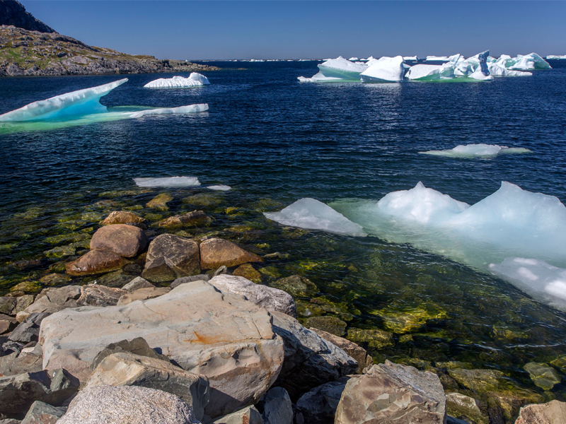 small icebergs in bay; Fogo Island, Newfoundland