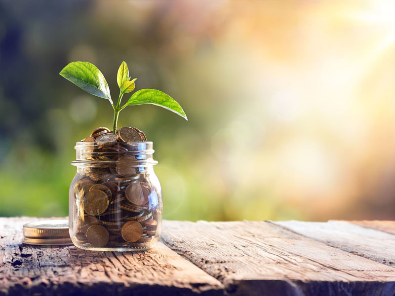 plant growing in savings coins