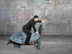 business man riding a tortoise pointing with finger