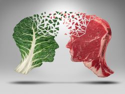 Meat vs vegatables concept