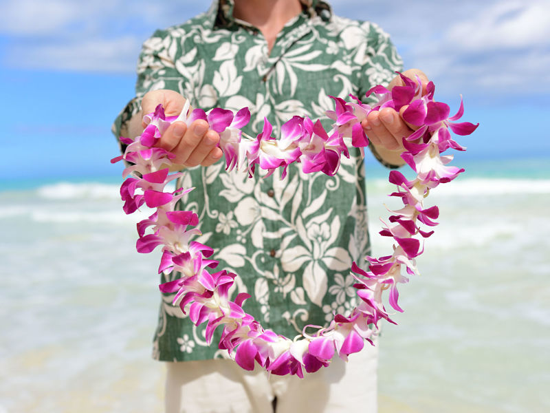 man in hawaiian shirt holding flower lei