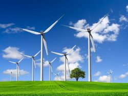 wind turbines farm on green field