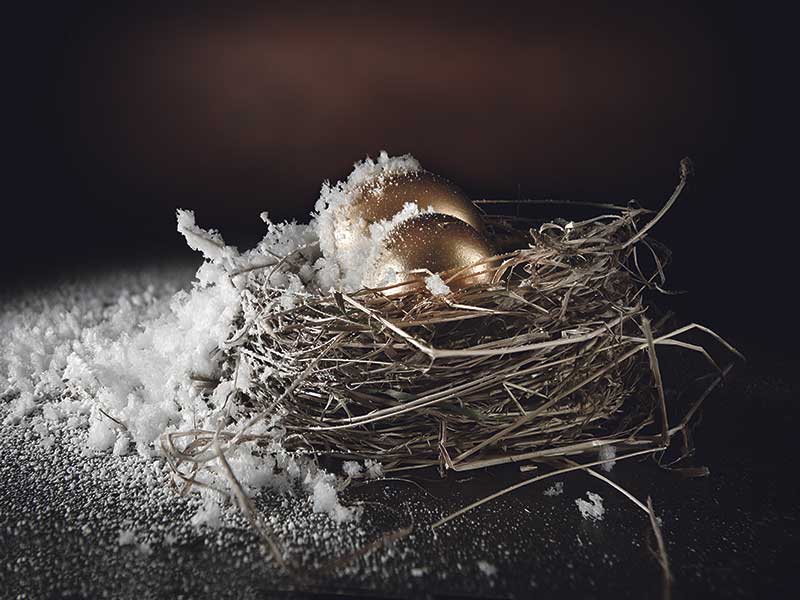 frozen nest egg