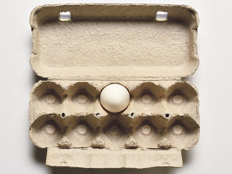 egg carton with one egg left