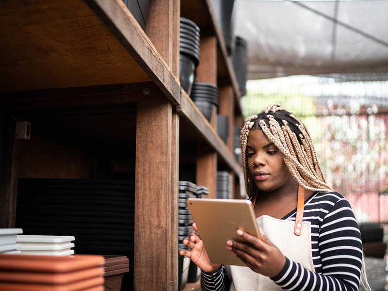 Business owner checking stock