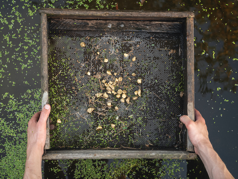 Panning for gold