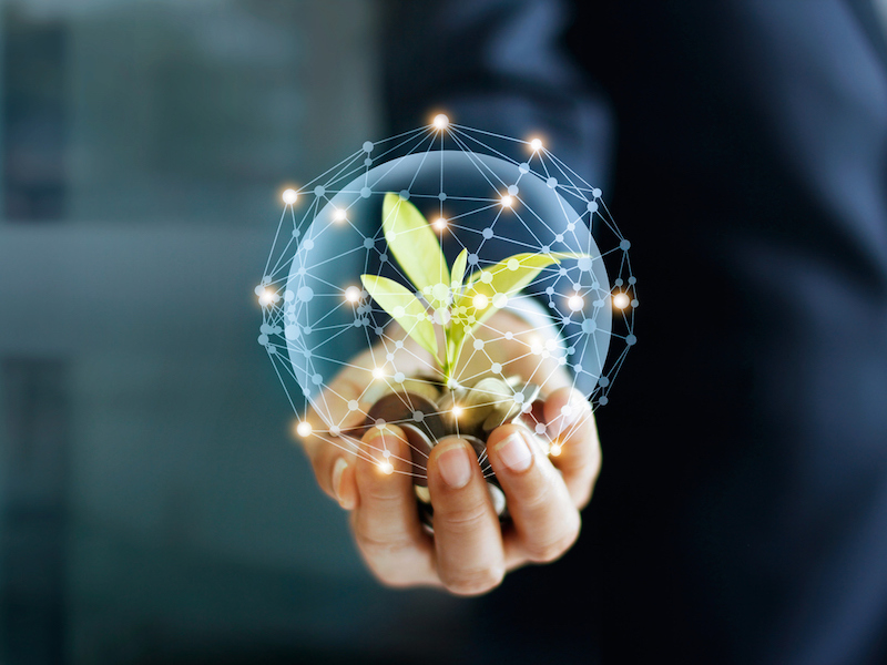 Businessman hand with coins and sprout in network connection. Plant growing on pile of coins money. Money growth concept.