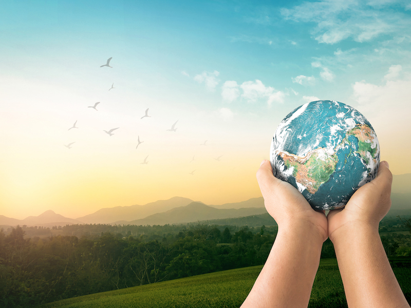 Child's hands holding a globe