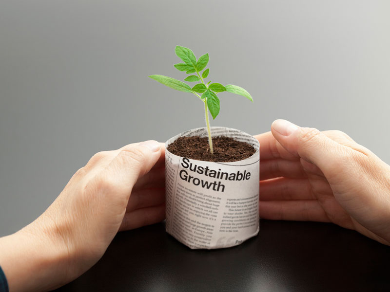 ESG sustainable growth