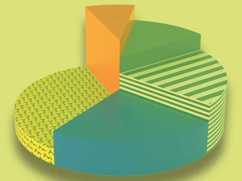 stock portfolio allocation