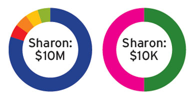 Sharon portfolio breakdown
