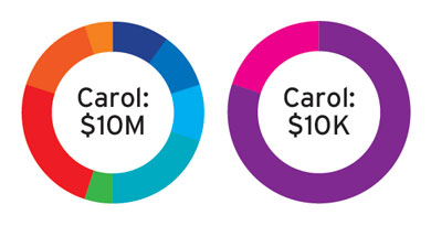 Carol portfolio breakdown