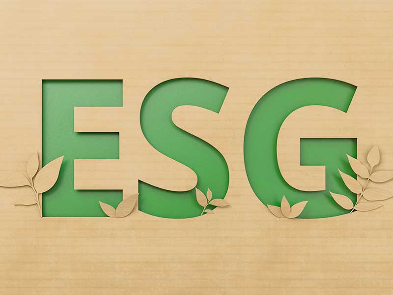 ESG letters
