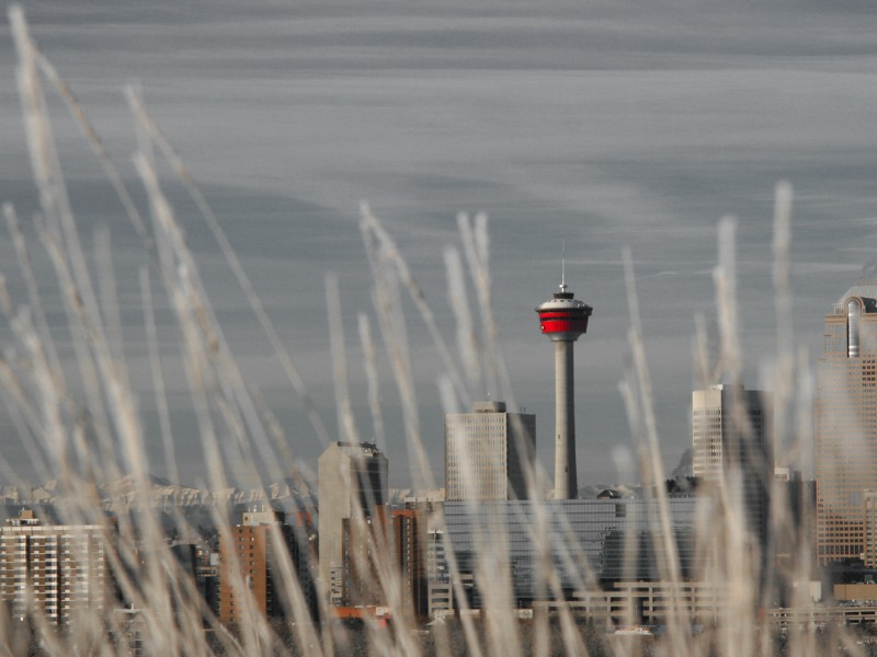 A "prairie" view of the Calgary tower and downtown Calgary, Alberta, Canada.