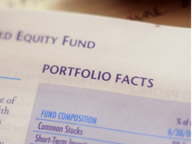 Extreme closeup of an annual report -- based on the "portfolio facts," the fund is a 100% stock mutual fund