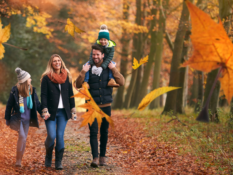 Family walking in the woods in autumn / Balades en famille dans les bois en automne