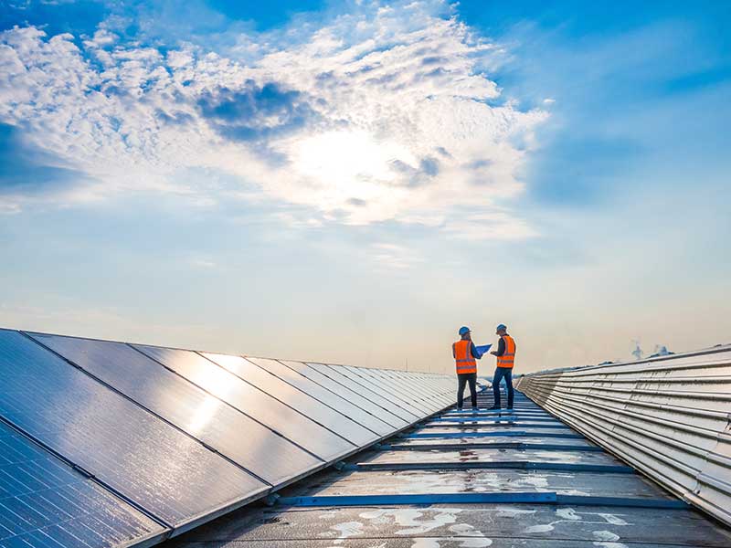 Two technicians in distance discussing between long rows of photovoltaic panels