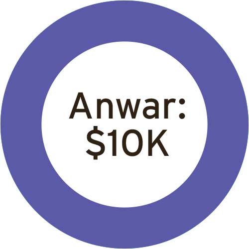 Pie chart of Anwar investments 10 thousand