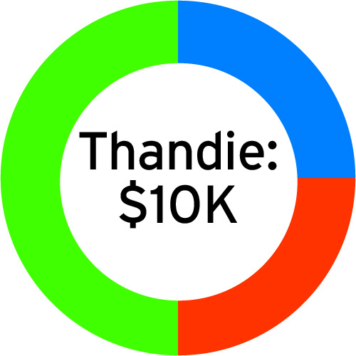 Pie chart of Thandie's ten thousand dollars investment scheme