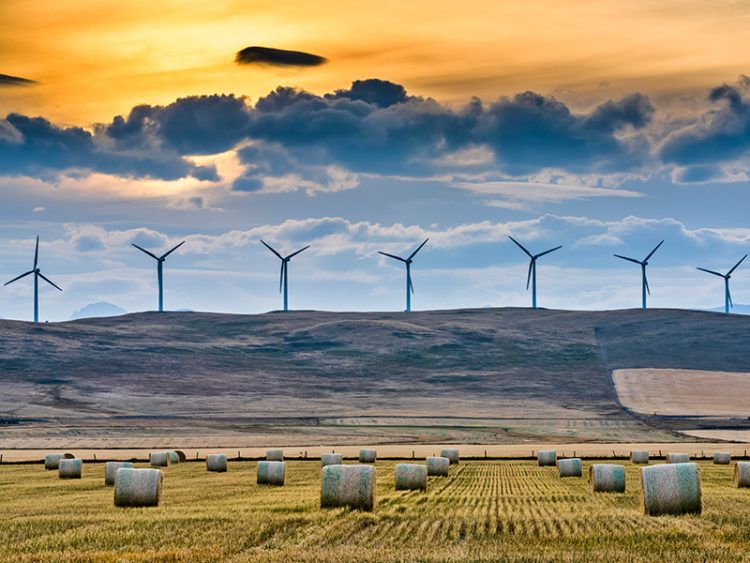 Windfarm in rural Alberta, Canada