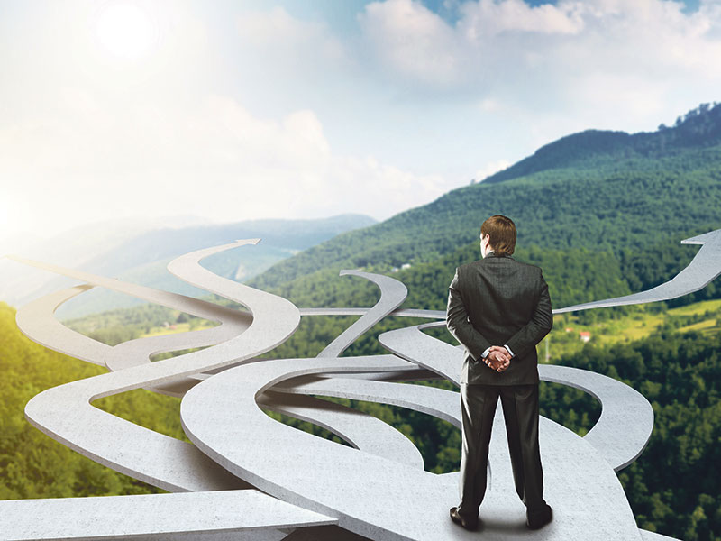 Businessman overlooking multiple pathway options