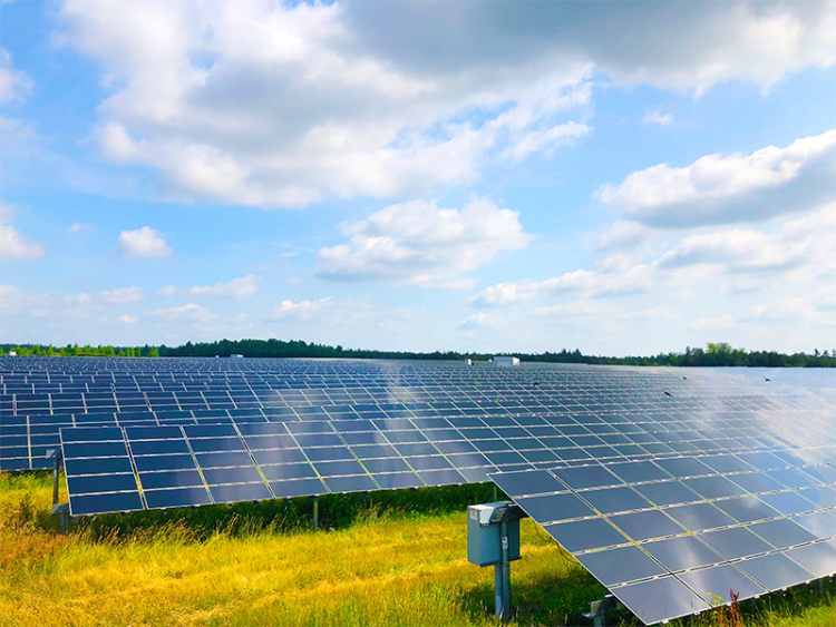 An image of Skyline Clean Energy Fund’s solar assets at Greater Napanee, Ontario